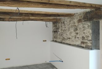 plaquiste-lelorouxbottereau-didneufetrenov