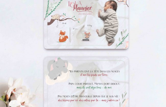 Faire-part de naissance Graphiste Illustrateur