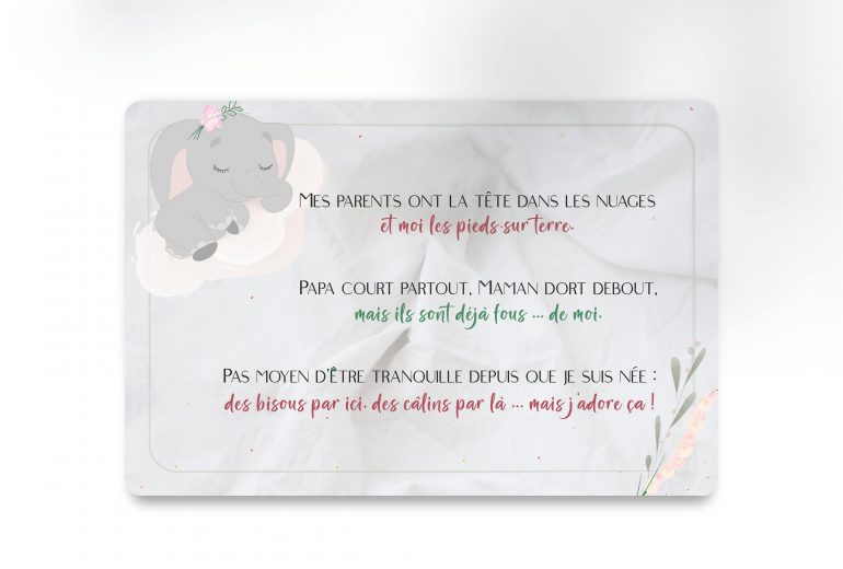 Faire-part de naissance Graphiste Illustrateur