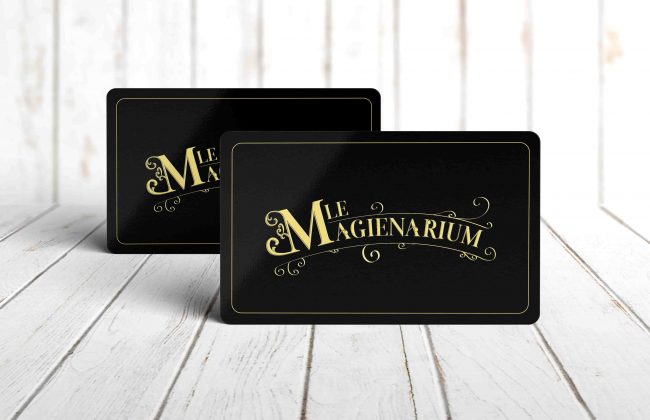 Identité Visuelle - Le Magienarium Graphiste Illustrateur
