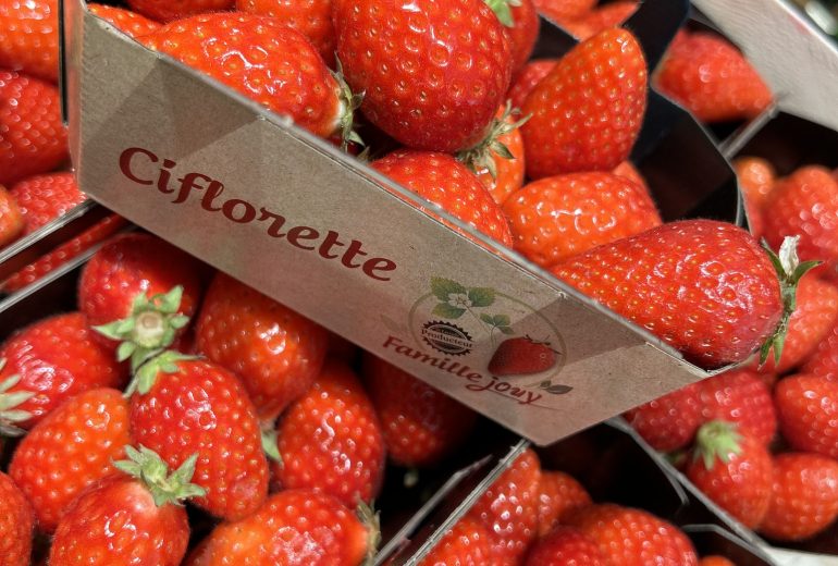 La saison des fraises est officiellement lancée ! Epicier Primeur