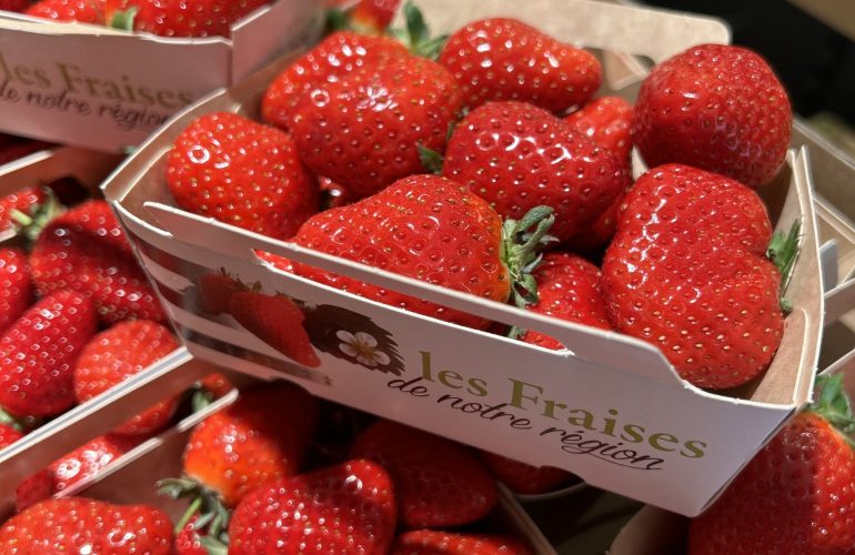 La saison des fraises est officiellement lancée ! Epicier Primeur