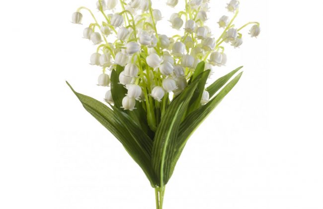 La Cave de Longchamp Caviste Epicier