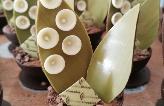 Couleur Chocolat Biscuitier Chocolatier Événements