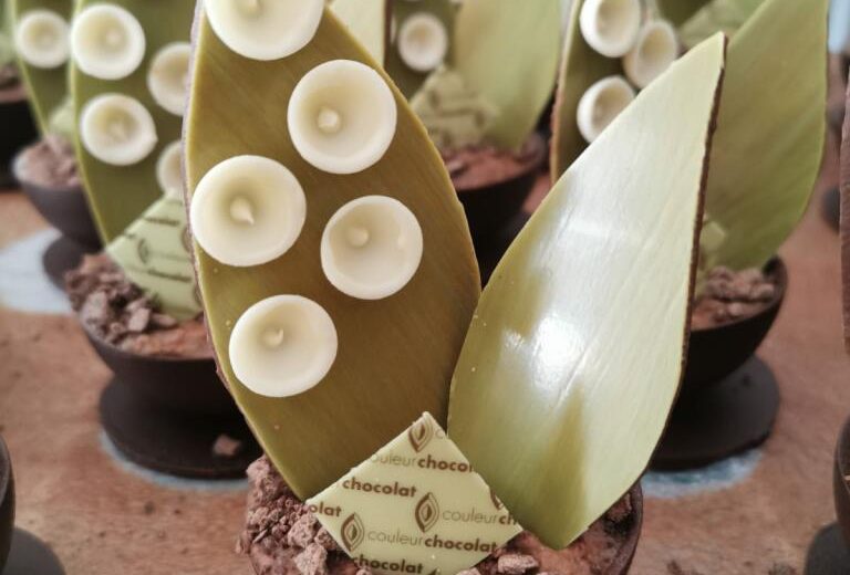 Avis aux gourmands ! Biscuitier Chocolatier Pâtissier