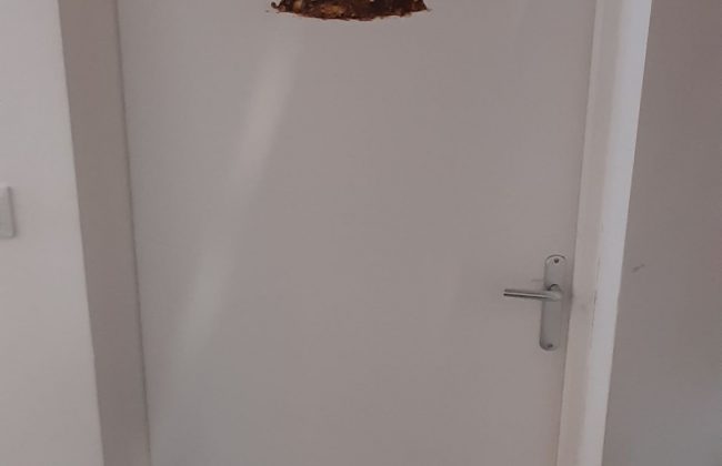 ✨ Portes personnalisées ✨ Peintre Peintre d'extérieur Peintre d'intérieur Solier moquettiste