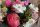 Bourgeon Fleuriste Baptême et naissance Bouquet de deuil Compositions florales Décorateur floral Événement Fleuriste Fleurs séchées Mariage Plantes