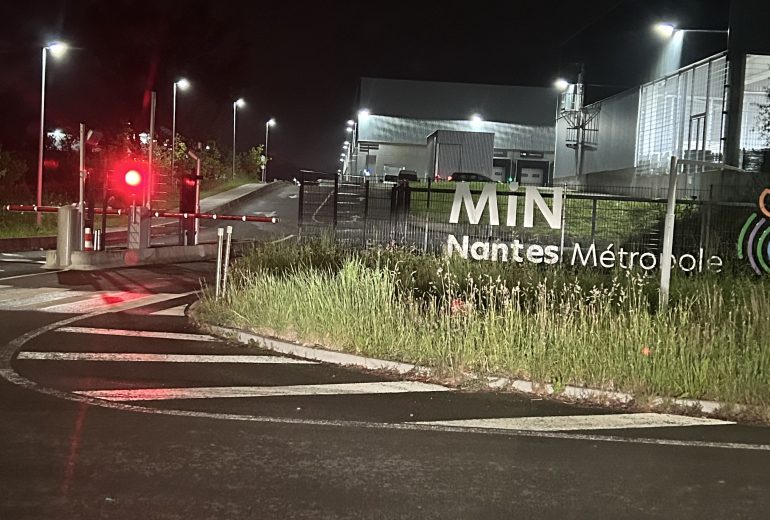 Matin au MIN Epicier Primeur