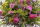 Eglantine Fleuriste Baptême et naissance Composition florale Compositions florales Décorateur floral Événement Fleuriste Fleurs séchées Mariage Plantes