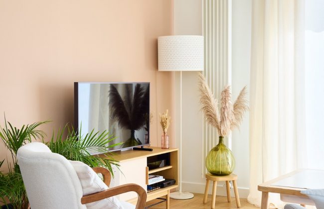 Suite du projet Rousseau, aujourd’hui, nous passons au salon. Architecte d'intérieur Maître d'oeuvre