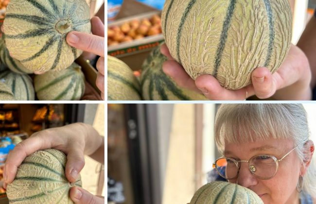 Bien choisir son melon Epicier Primeur
