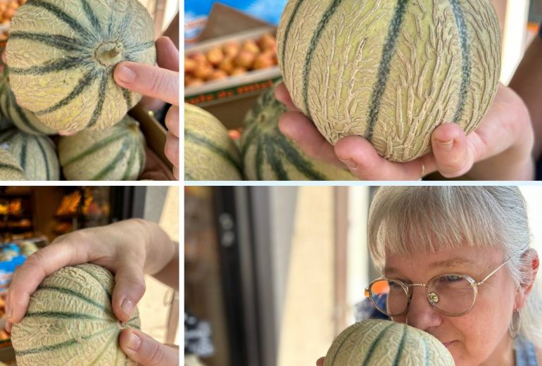 Bien choisir son melon Epicier Primeur