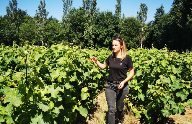 Programmation été 2024 ☀️ Caviste Traiteur