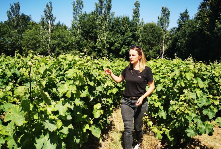 Programmation été 2024 ☀️ Caviste Traiteur