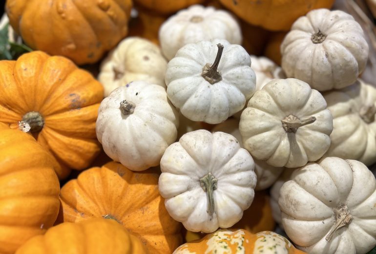 Spécial Halloween ! Epicier Primeur