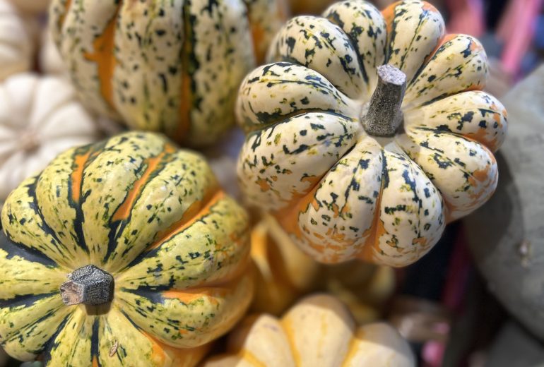 Spécial Halloween ! Epicier Primeur