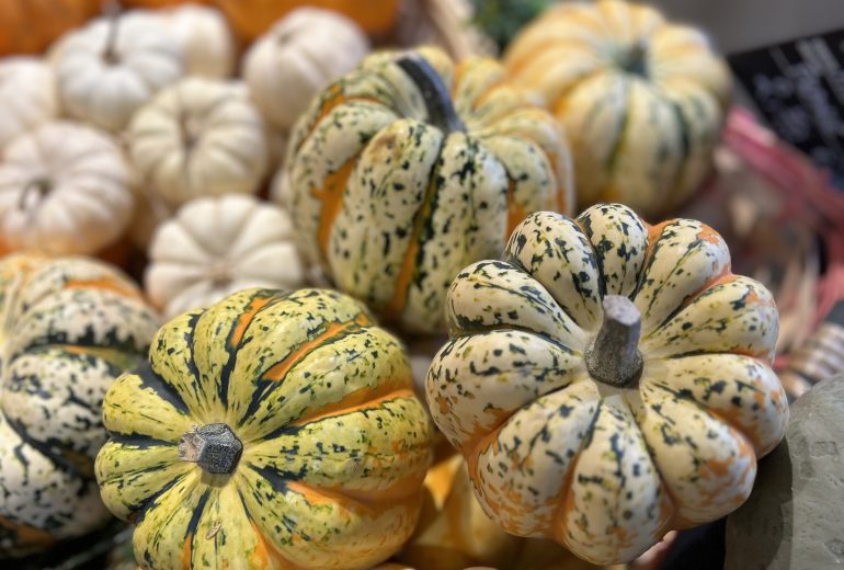 Spécial Halloween ! Epicier Primeur