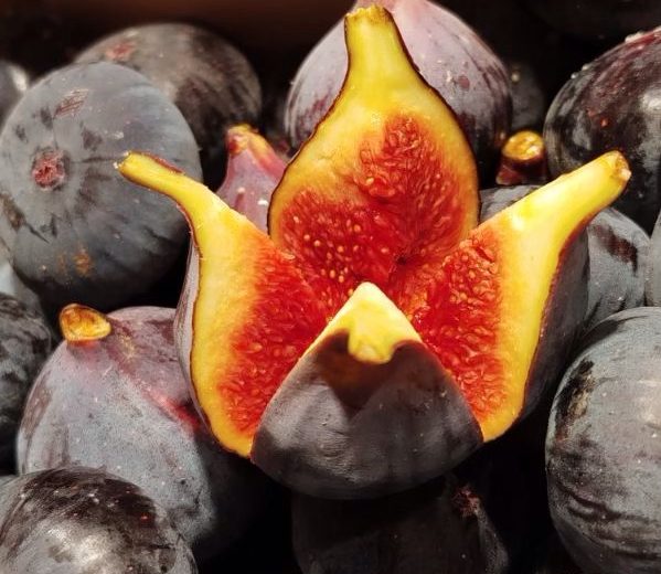 C'est la rentrée pour Nutty le butternut du Verger de St-Do ! Epicier Primeur