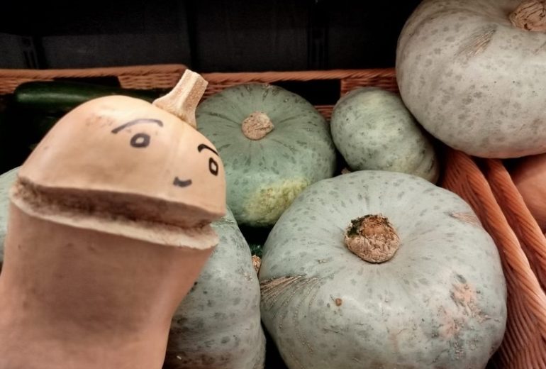 C'est la rentrée pour Nutty le butternut du Verger de St-Do ! Epicier Primeur