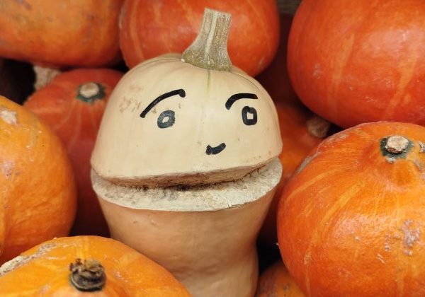 Le Verger de St Do Epicier Primeur