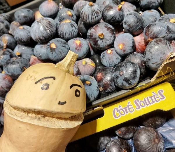 C'est la rentrée pour Nutty le butternut du Verger de St-Do ! Epicier Primeur