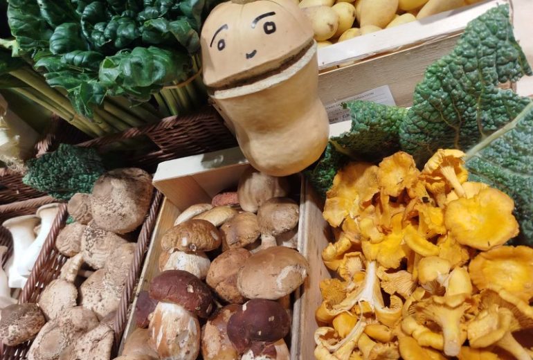 C'est la rentrée pour Nutty le butternut du Verger de St-Do ! Epicier Primeur