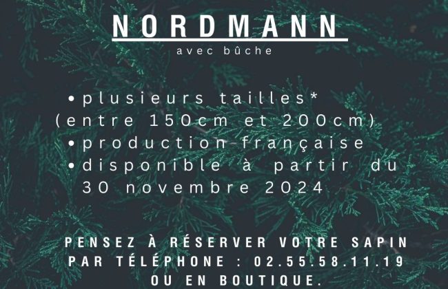 SAPINS DE NOËL Décorateur floral Fleuriste