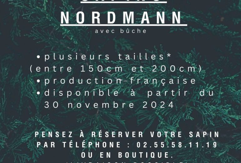 SAPINS DE NOËL Décorateur floral Fleuriste