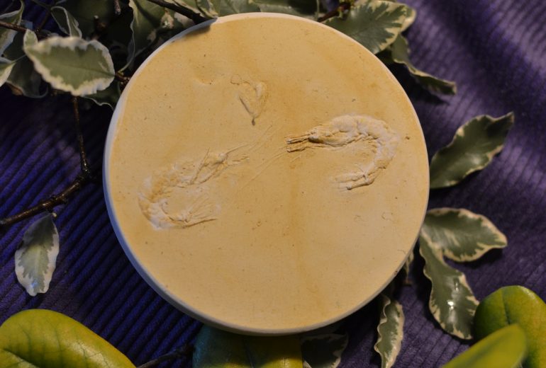 Décors en plâtre : une belle idée cadeau ! Enduiseur Mosaïste Peintre Peintre d'intérieur