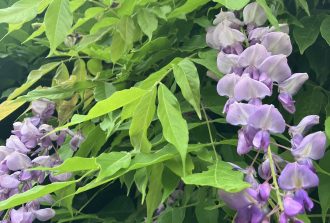 architecte-paysagiste-nantes-paysagiste nantes