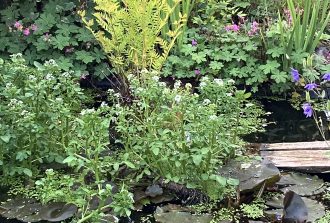 architecte-paysagiste-nantes-paysagiste nantes