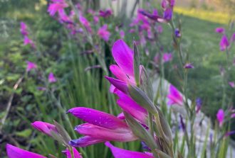 architecte-paysagiste-nantes-paysagiste nantes