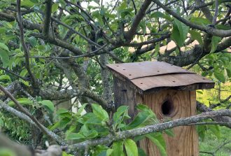 architecte-paysagiste-nantes-paysagiste nantes