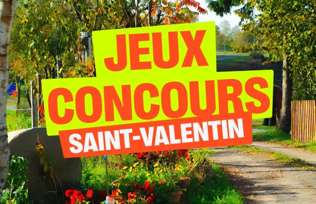 Bonne année 2025 ! Installateur Photovoltaïque