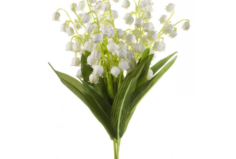 Le joli mois de Mai ! Caviste Epicier