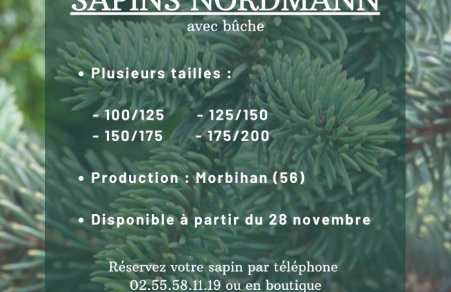 Trouvez de bons artisans à Nantes et alentours