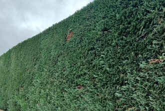 paysagiste carquefou