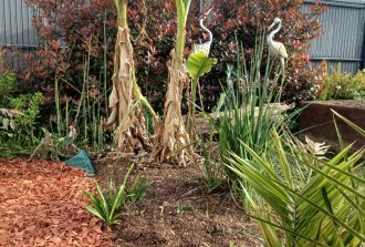 paysagiste carquefou