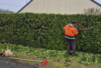 Blanloeil Environnement Allées de jardin Entretien de vos espaces Jardinier Paysagiste Terrasses