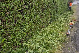 paysagiste carquefou