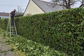 Blanloeil Environnement Allées de jardin Entretien de vos espaces Jardinier Paysagiste Terrasses