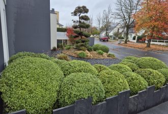 paysagiste carquefou