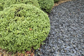 paysagiste carquefou