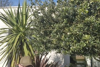 paysagiste carquefou