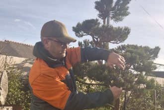 paysagiste carquefou