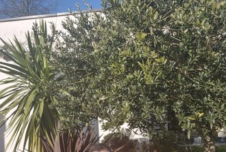 paysagiste carquefou