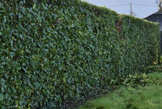 paysagiste carquefou