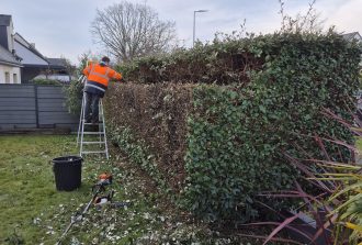 Blanloeil Environnement Allées de jardin Entretien de vos espaces Jardinier Paysagiste Terrasses
