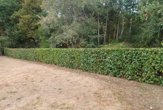 paysagiste carquefou