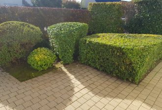 paysagiste carquefou